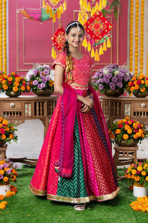 Multi Color Silk & Organza Beads Embroidered Lehenga
