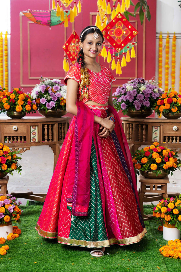 Multi Color Silk & Organza Beads Embroidered Lehenga